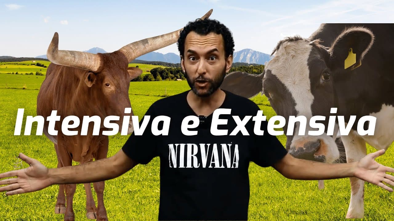 Thumbnail: O que é criação INTENSIVA e EXTENSIVA | GEOGRAFIA |