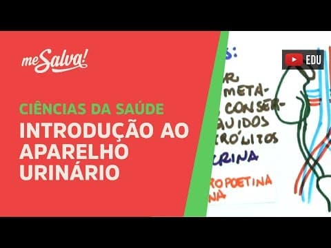 Thumbnail da aula: Me Salva! - SURI01 - Introdução ao Aparelho Urinário - Histologia Humana