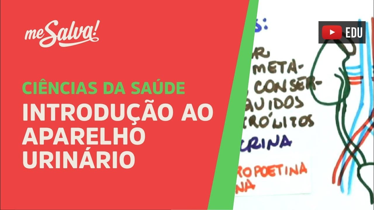 Thumbnail: Me Salva! - SURI01 - Introdução ao Aparelho Urinário - Histologia Humana