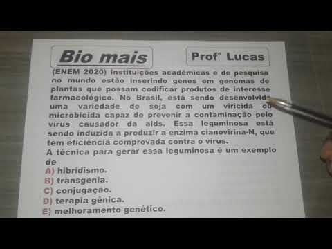 Thumbnail da aula: (ENEM 2020) Instituições acadêmicas e de pesquisa no mundo estão inserindo genes...