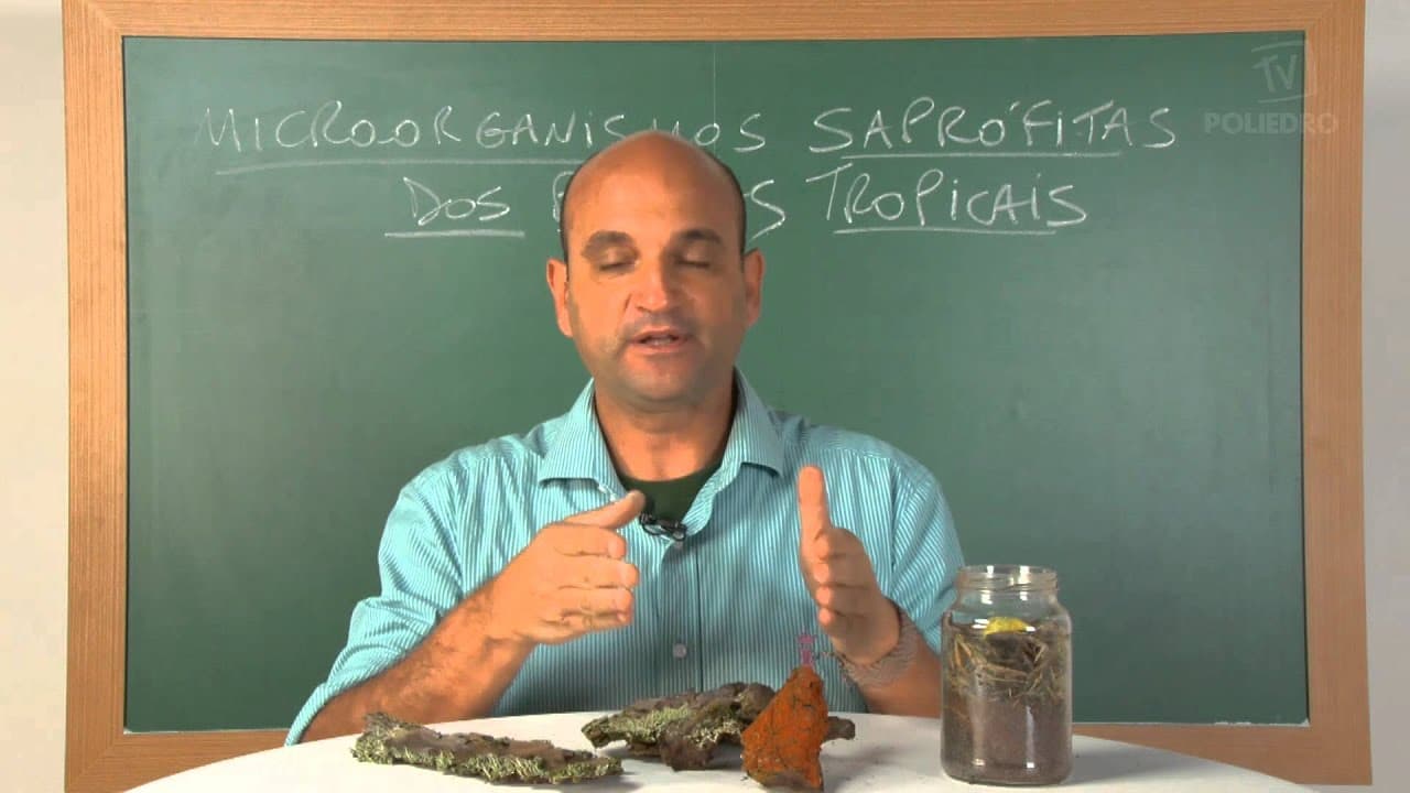 Thumbnail: Videoaulas Poliedro | Enem | Micro-organismos Saprófitas dos Biomas Tropicais