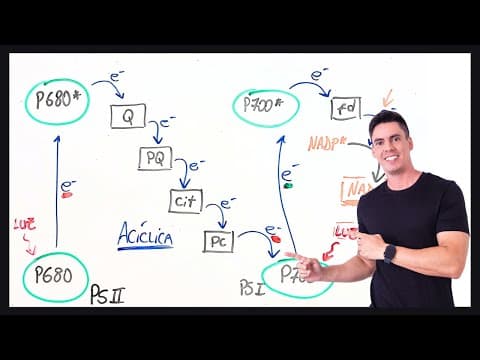 Thumbnail da aula: Fotofosforilação cíclica e acíclica - resumo