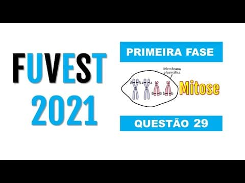 Thumbnail da aula: (FUVEST 2021) Considere dois genes (A e B) localizados em cromossomos diferentes e seus...