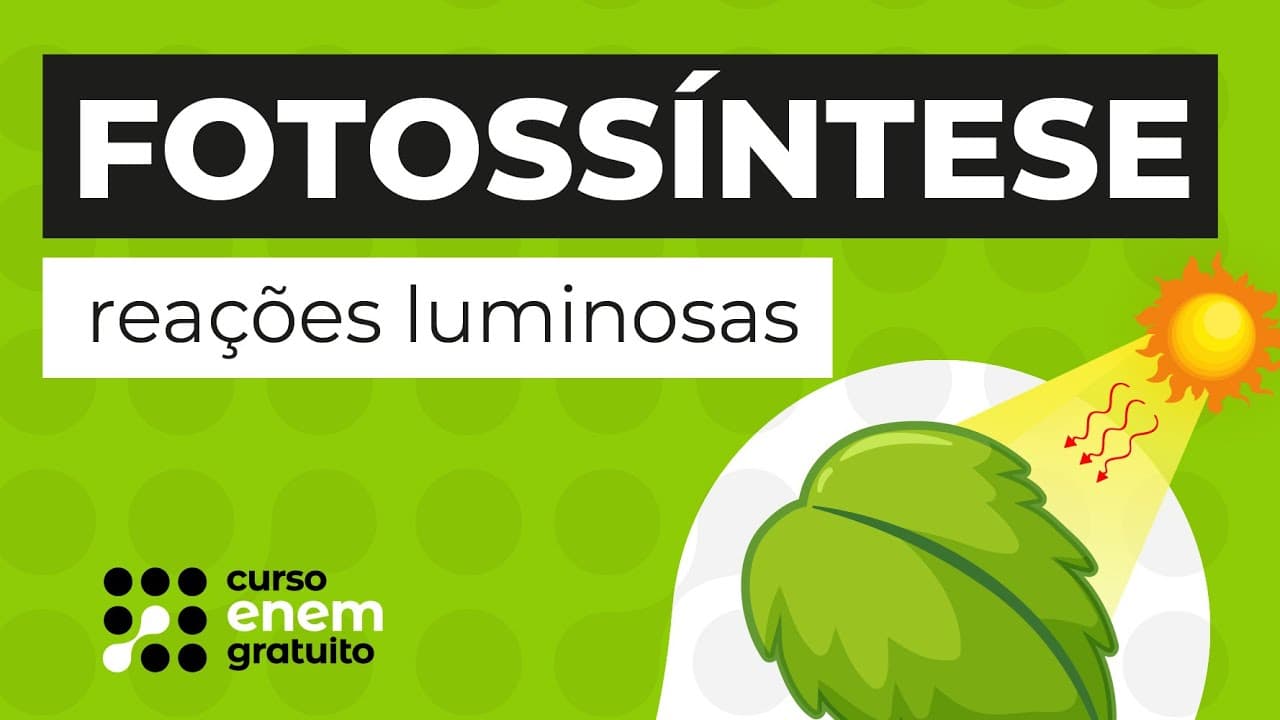 Thumbnail: FOTOSSÍNTESE: reações luminosas | Biologia para o Enem | Cláudia de Souza Aguiar