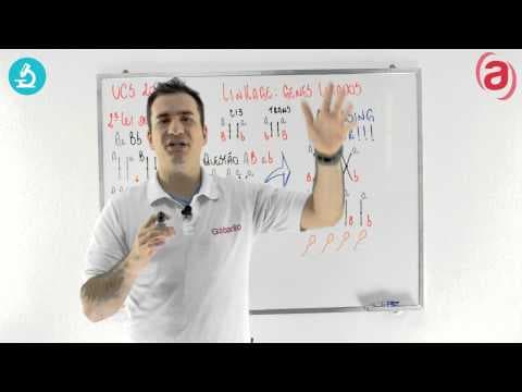 Thumbnail da aula: Gabarito Corrige - UCS 2014 Inverno Biologia - Questão 5