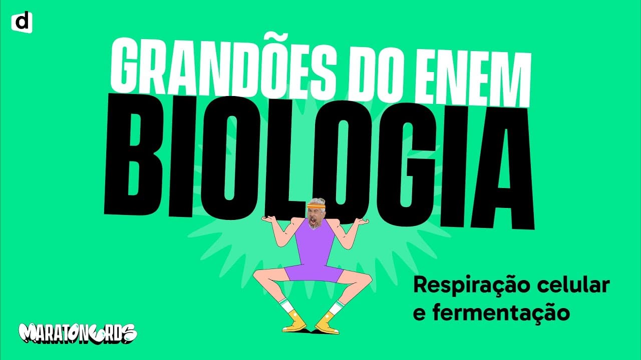 Thumbnail: Respiração Celular e Fermentação - Resumo | Biologia