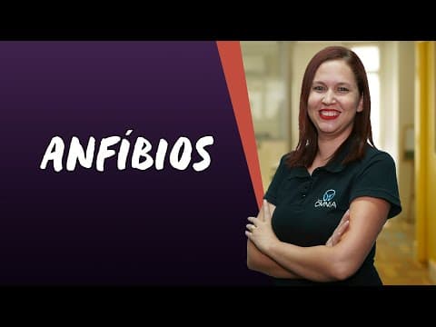Thumbnail da aula: Anfíbios - Brasil Escola