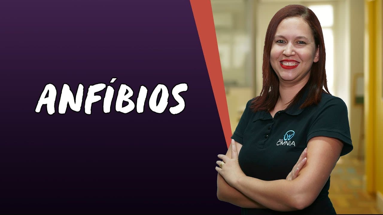 Thumbnail: Anfíbios - Brasil Escola