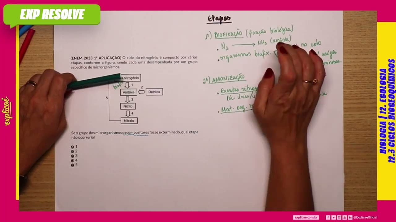 Thumbnail: O CICLO DO NITROGÊNIO É COMPOSTO POR VÁRIAS ETAPAS, CONFORME A FIGURA, (...) | CICLOS BIOGEOQUÍMICOS