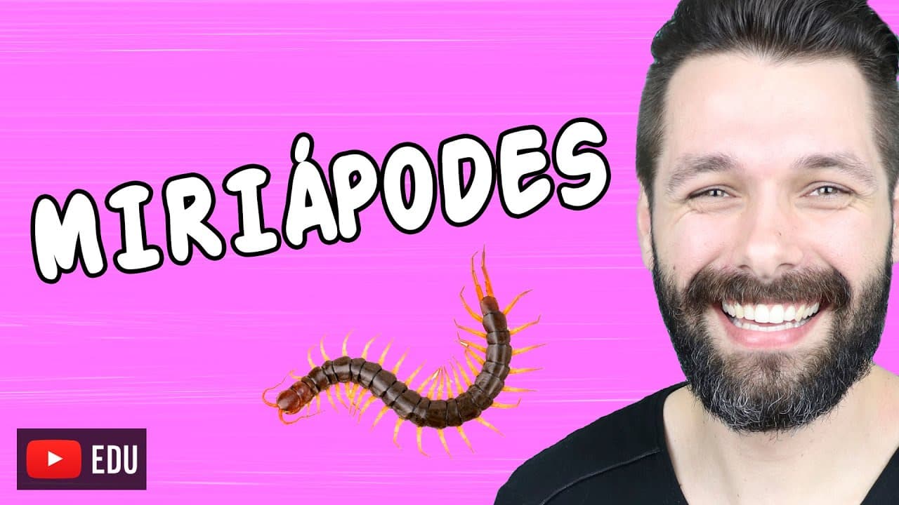 Thumbnail: MIRIÁPODES - QUILÓPODES E DIPLÓPODES | Biologia com Samuel Cunha