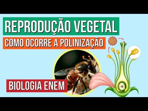 Thumbnail da aula: REPRODUÇÃO VEGETAL: como ocorre a polinização | Biologia para o Enem | Cláudia de Souza Aguiar
