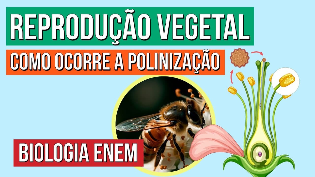 Thumbnail: REPRODUÇÃO VEGETAL: como ocorre a polinização | Biologia para o Enem | Cláudia de Souza Aguiar