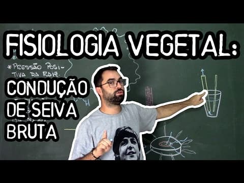 Thumbnail da aula: Condução de Seiva Bruta - Fisiologia Vegetal - Aula 24: Botânica (Prof. Guilherme)