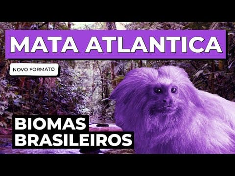 Thumbnail da aula: BIOMAS BRASILEIROS: Mata Atlântica | Biologia para o Enem e o Encceja | Cláudia de Souza Aguiar
