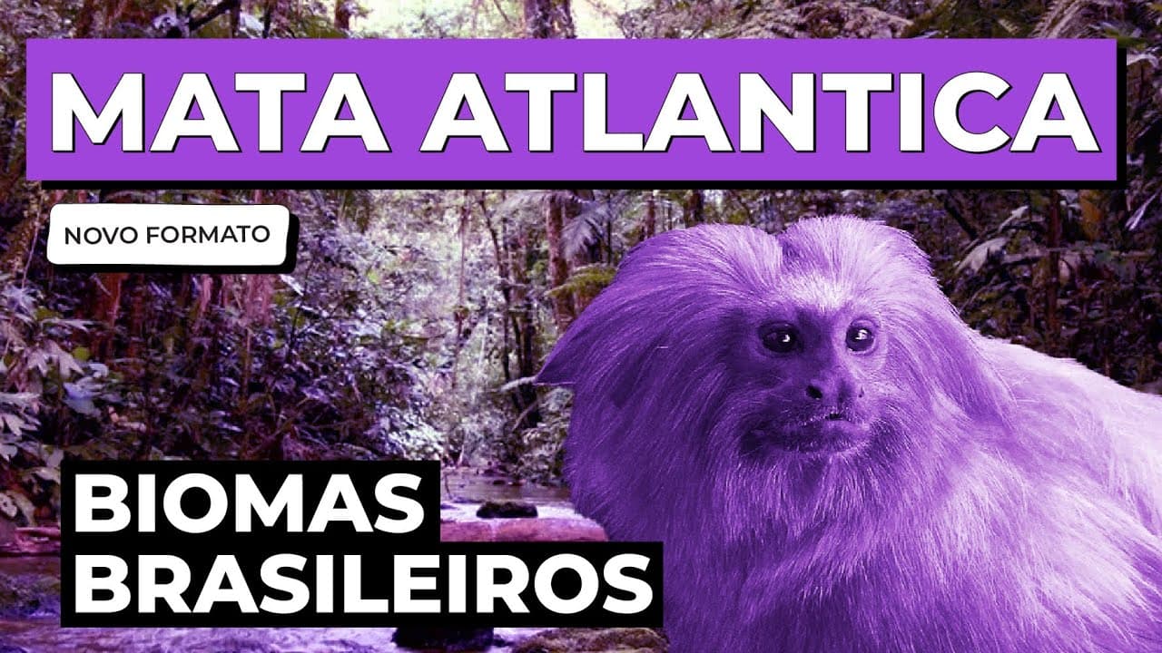Thumbnail: BIOMAS BRASILEIROS: Mata Atlântica | Biologia para o Enem e o Encceja | Cláudia de Souza Aguiar