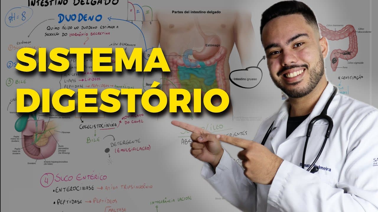 Thumbnail: 🥩 SISTEMA DIGESTÓRIO: O que você PRECISA saber para o ENEM!