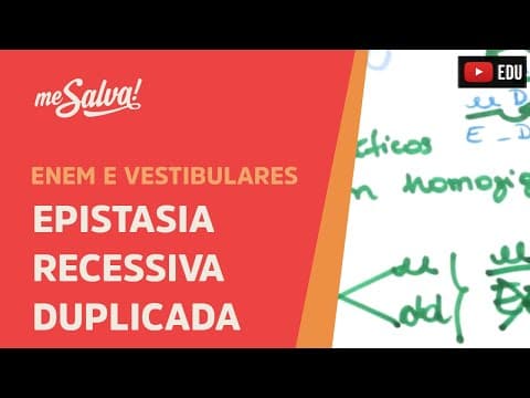 Thumbnail da aula: Me Salva! GEN26 - Genética - Epistasia Recessiva duplicada