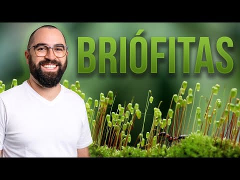 Thumbnail da aula: Briófitas - Aula 02 - Módulo 5: Botânica