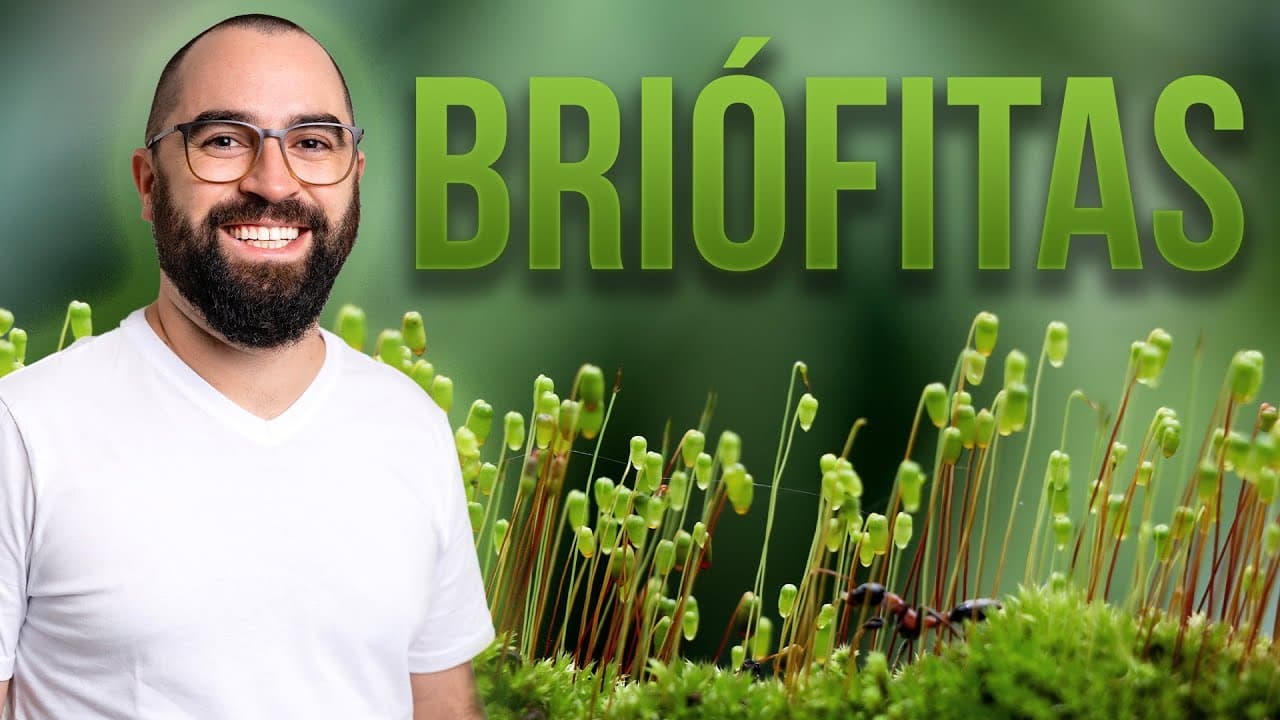 Thumbnail: Briófitas - Aula 02 - Módulo 5: Botânica