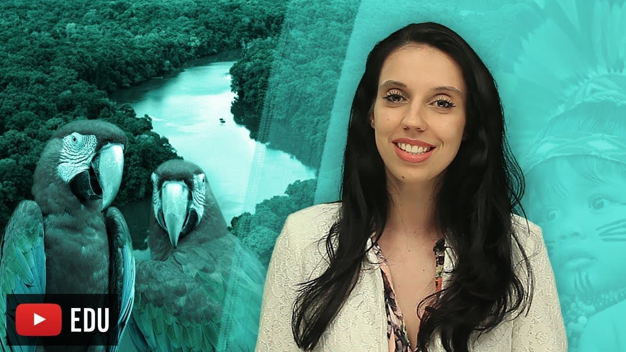 Thumbnail: Amazônia: Por que preservar?