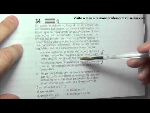 Thumbnail da aula: ENEM 2006 - questão 34