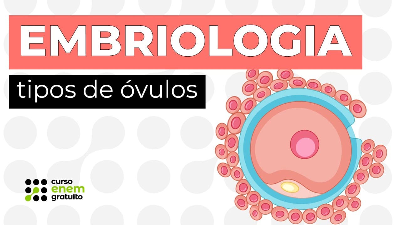 Thumbnail: EMBRIOLOGIA: tipos de óvulos | Biologia para o Enem | Cláudia de Souza Aguiar