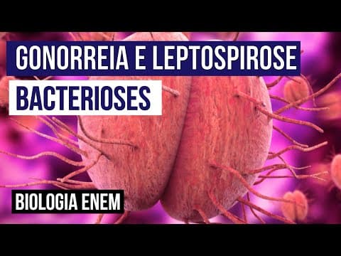 Thumbnail da aula: GONORREIA E LEPTOSPIROSE: bacterioses | Biologia para o Enem | Cláudia de Souza Aguiar