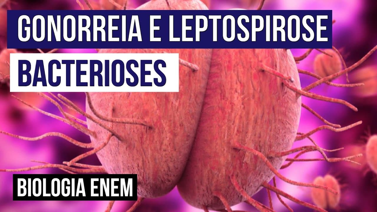 Thumbnail: GONORREIA E LEPTOSPIROSE: bacterioses | Biologia para o Enem | Cláudia de Souza Aguiar