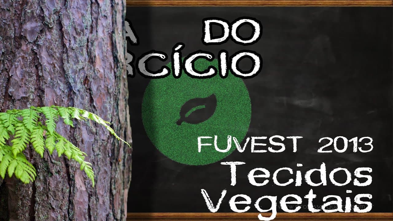 Thumbnail: Tecidos vegetais - FUVEST 2013