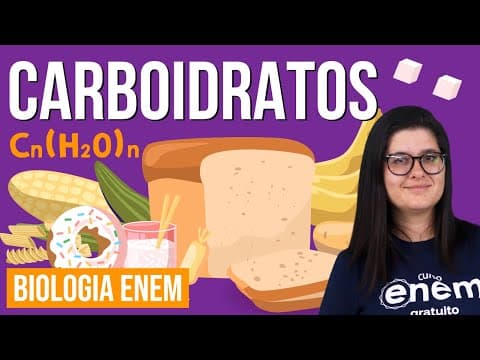 Thumbnail da aula: CARBOIDRATOS: o que são, função, exemplos (BIOQUÍMICA) | Resumo de Biologia para o Enem