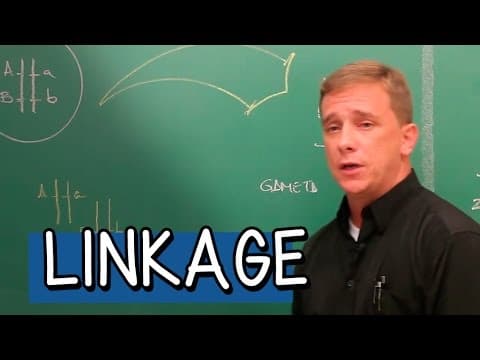 Thumbnail da aula: O que é Linkage? - Extensivo Biologia | Descomplica