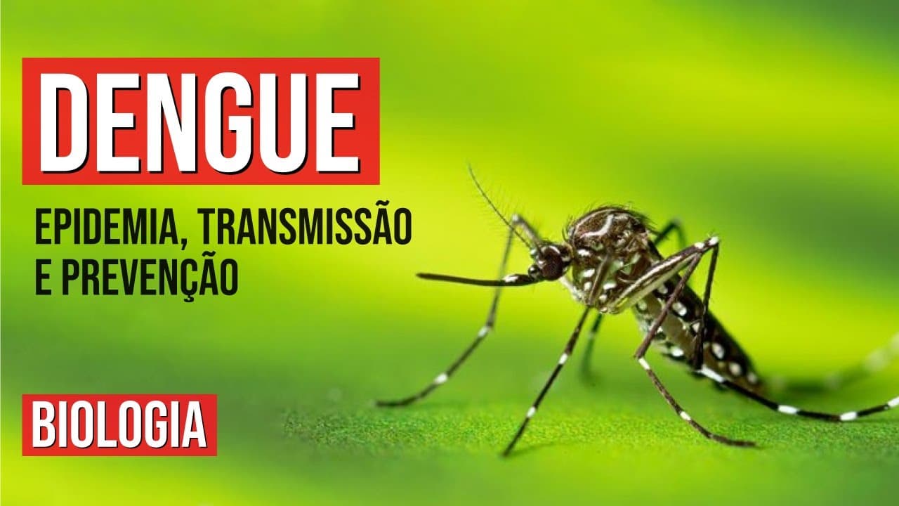 Thumbnail: DENGUE: epidemia, transmissão e prevenção | Biologia para o Enem | Cláudia de Sousa Aguiar