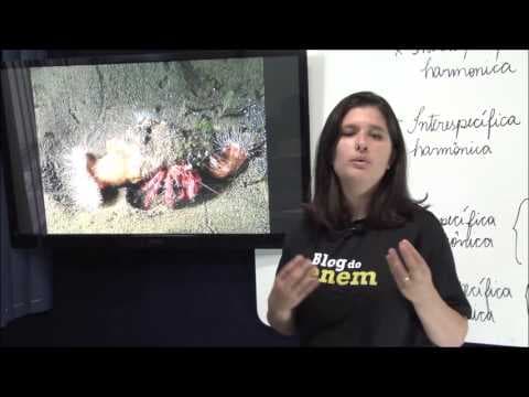 Thumbnail da aula: ECOLOGIA | RELAÇÕES ECOLÓGICAS | BIOLOGIA | Prof.ª Juliana