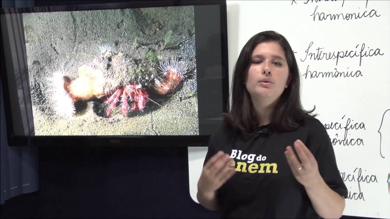 Thumbnail: ECOLOGIA | RELAÇÕES ECOLÓGICAS | BIOLOGIA | Prof.ª Juliana
