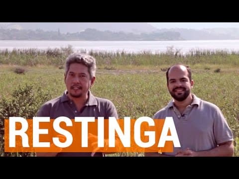 Thumbnail da aula: Descomplica Na Estrada - Restinga | Descomplica