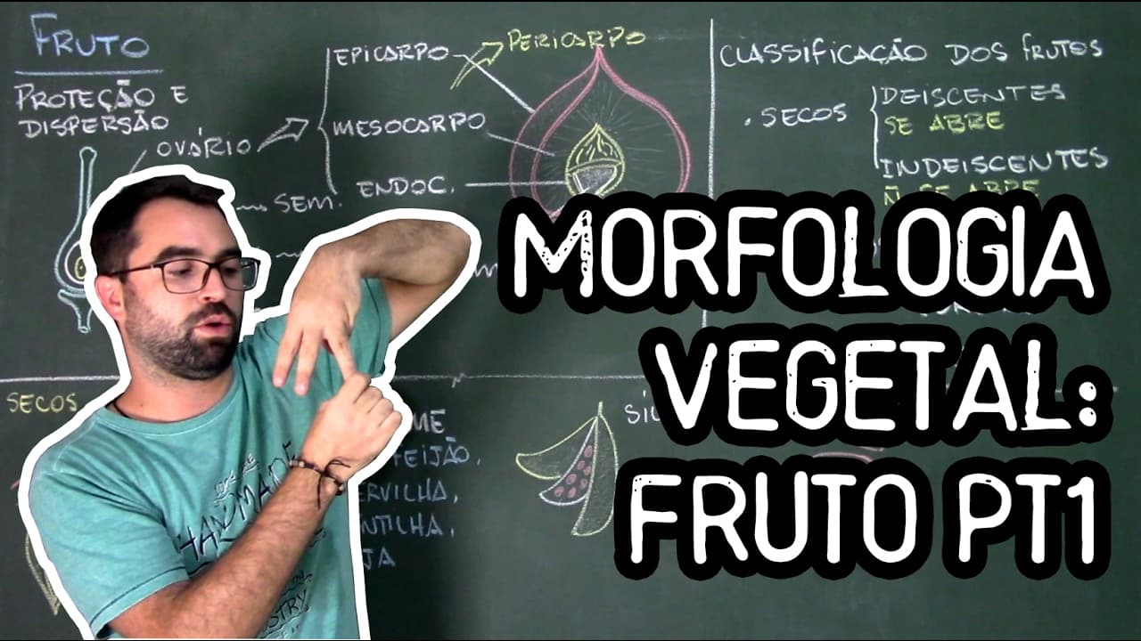 Thumbnail: Organologia do Fruto (Morfologia) pt1 - Aula 20: Botânica (Prof. Guilherme)