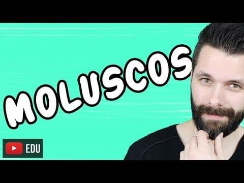 Thumbnail da aula: MOLUSCOS - REINO ANIMALIA - ZOOLOGIA  - Aula | Biologia com Samuel Cunha