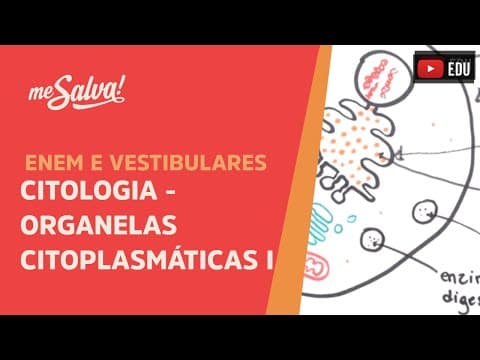 Thumbnail da aula: Me Salva! CIT18 - Citologia - Organelas citoplasmáticas 1