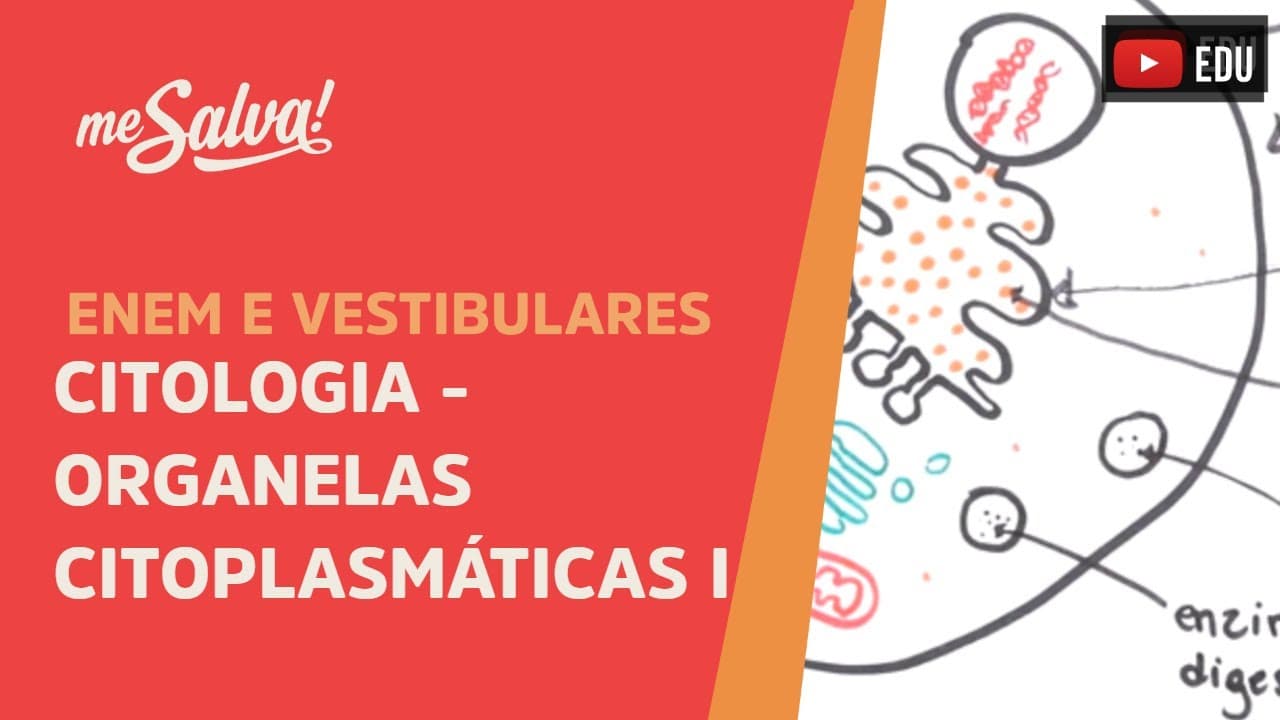 Thumbnail: Me Salva! CIT18 - Citologia - Organelas citoplasmáticas 1