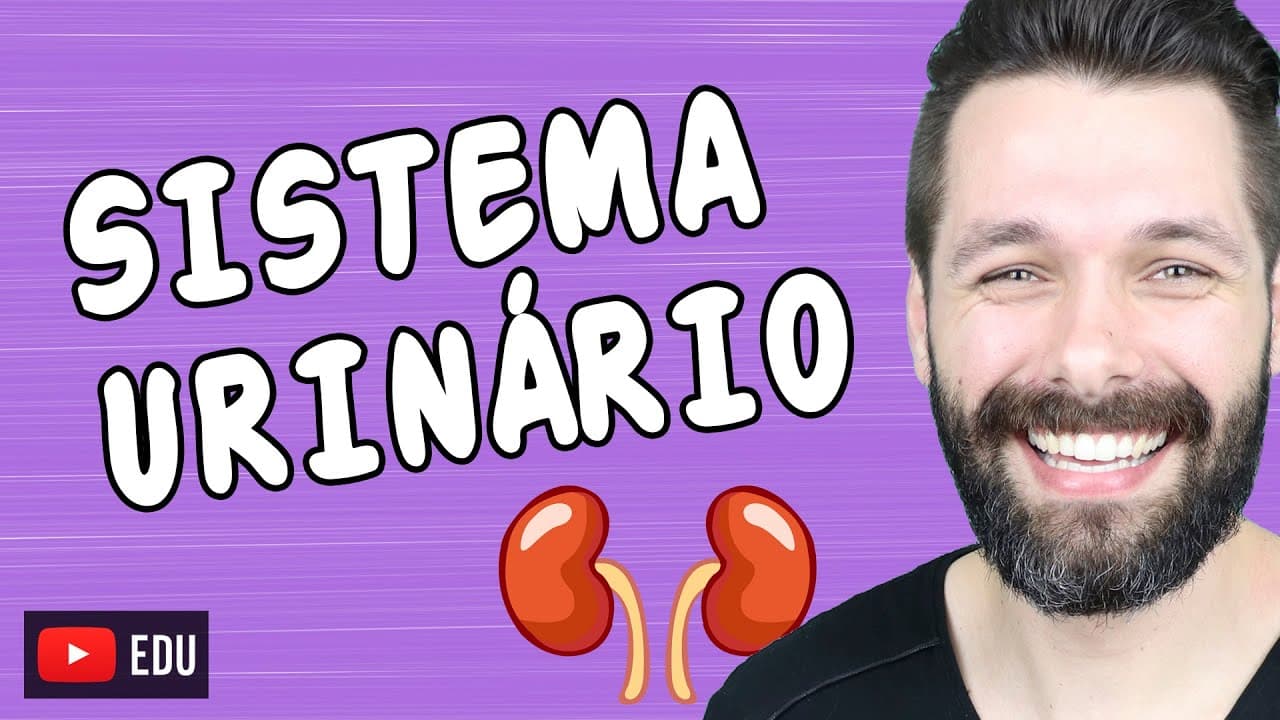 Thumbnail: ÓRGÃOS DO SISTEMA URINÁRIO | Biologia com Samuel Cunha