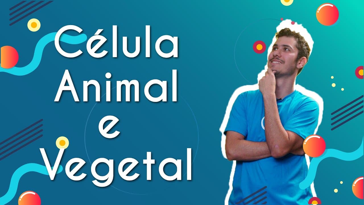 Thumbnail: Célula Animal e Vegetal - Brasil Escola