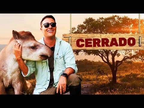 Thumbnail da aula: Cerrado | Biomas do Brasil | Ep.9