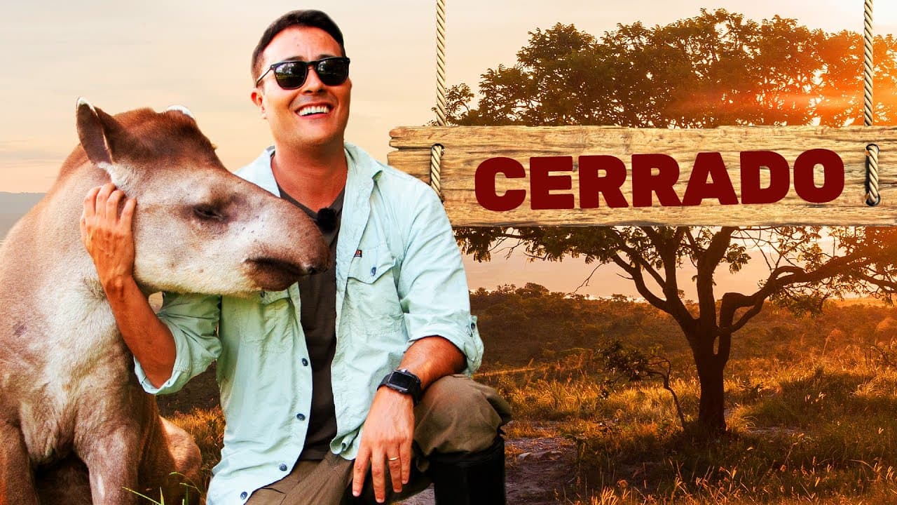 Thumbnail: Cerrado | Biomas do Brasil | Ep.9