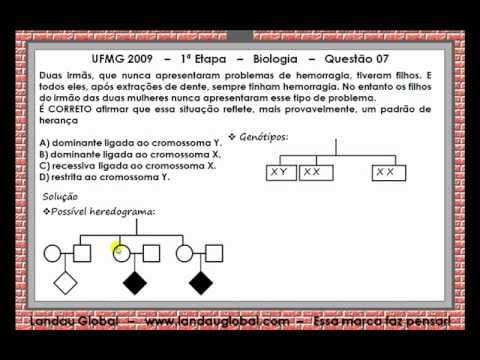 Thumbnail da aula: UFMG_2009_BIO_P1_Q07