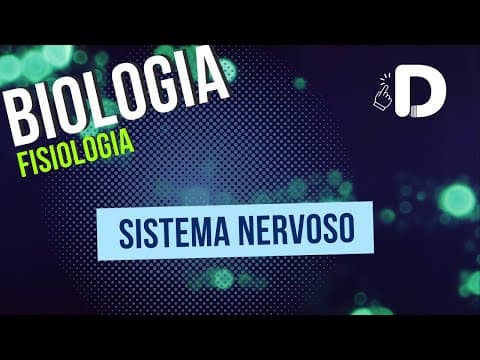 Thumbnail da aula: Sistema Nervoso - Fisiologia  - Biologia - Preparatório Enem