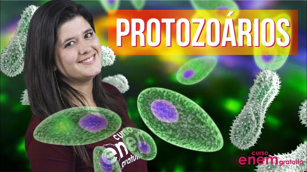 Thumbnail: PROTOZOÁRIOS: principais características e classificação | Resumo de Biologia para o Enem