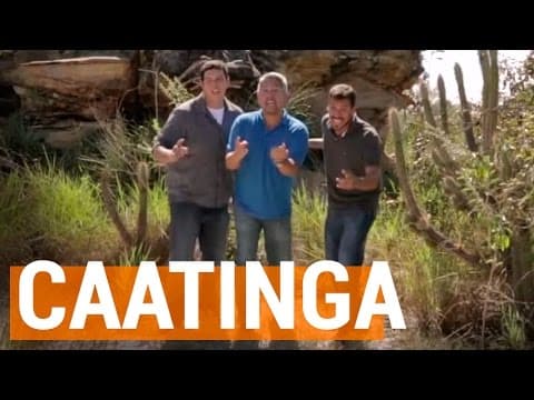 Thumbnail da aula: Na Estrada - Caatinga | Descomplica