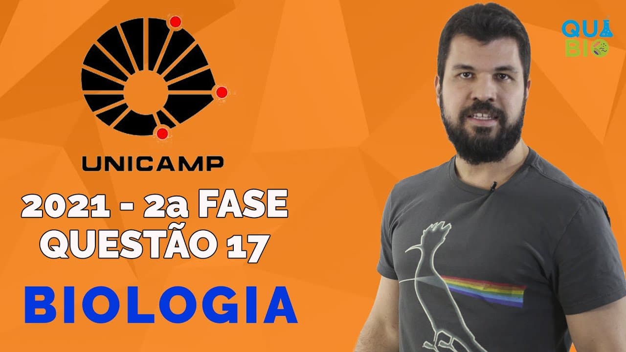 Thumbnail: UNICAMP 2021 - 2a Fase - Questão 17 - A hemoglobina é uma proteína composta por quatro cadeias polip