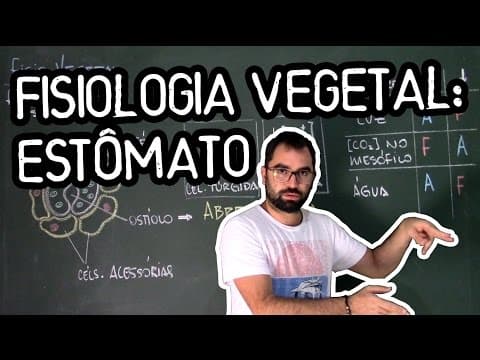 Thumbnail da aula: Estômato - Fisiologia Vegetal - Aula 25: Botânica (Prof. Guilherme)