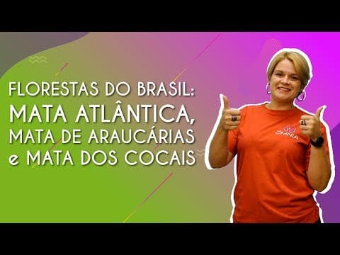 Thumbnail da aula: Floresta do Brasil: Mata Atlântica, Mata de Araucárias e Mata dos Cocais - Brasil Escola